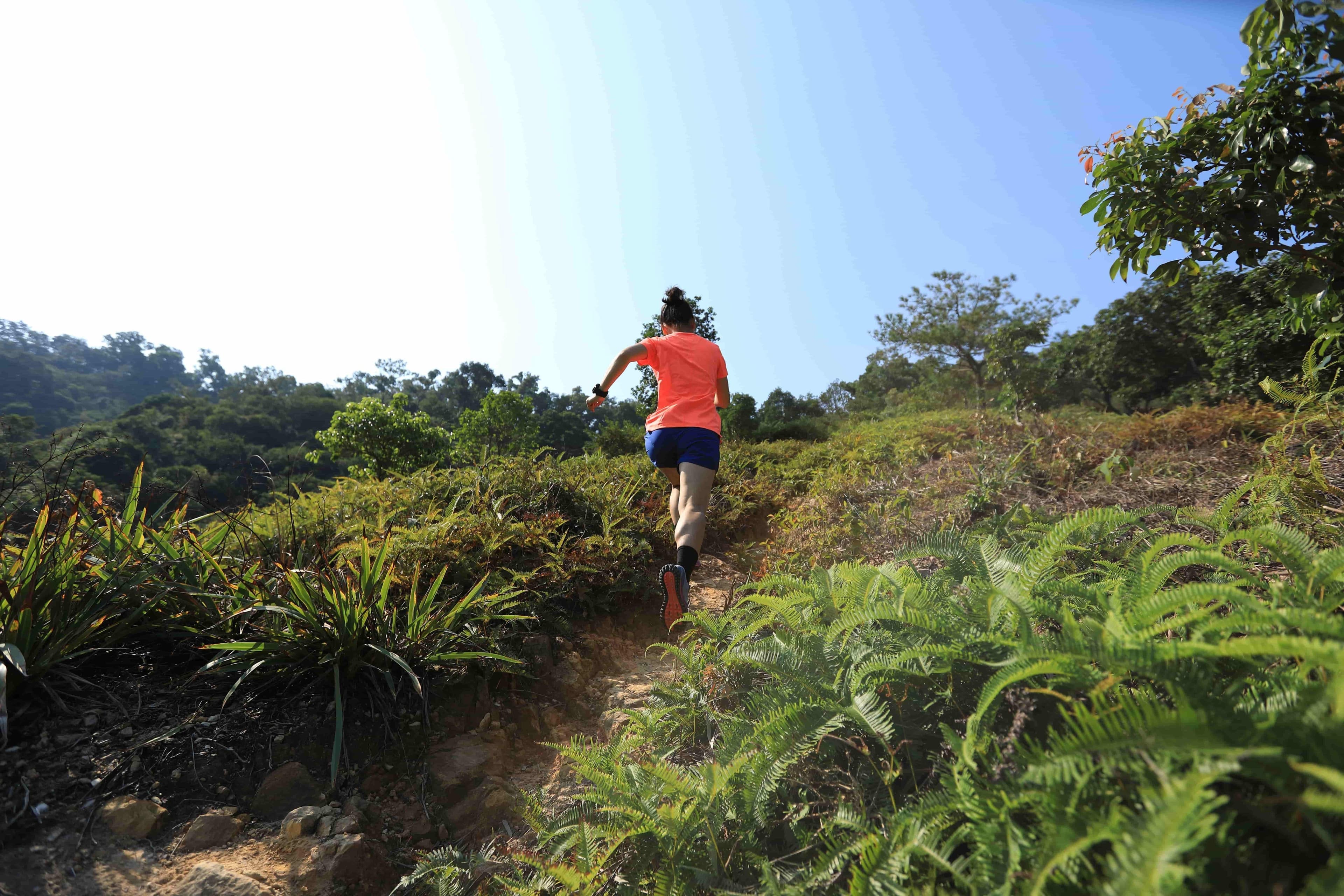 Grand Raid de la Réunion - Diagonale des Fous